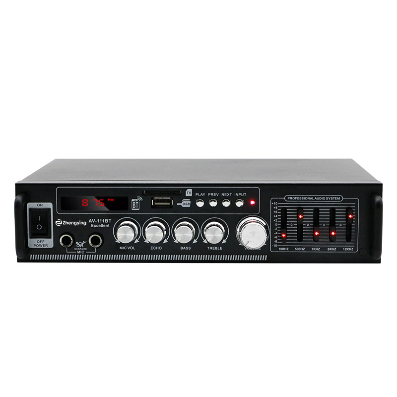 AV-111BT 300W 2CH Bluetooth Mini Karaoke Amplifier Dual Microphone Input with Reverb FM Radio USB SD Home Stereo Audio Power Amp 220V/110V/12V